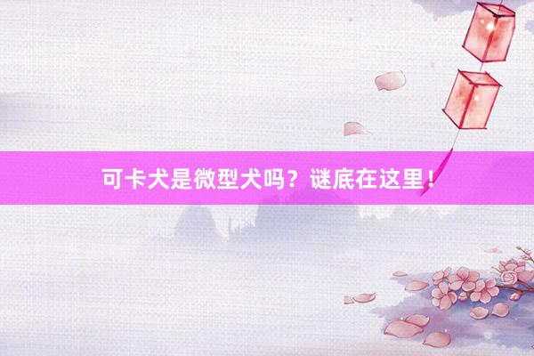 可卡犬是微型犬吗？谜底在这里！