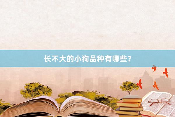长不大的小狗品种有哪些？