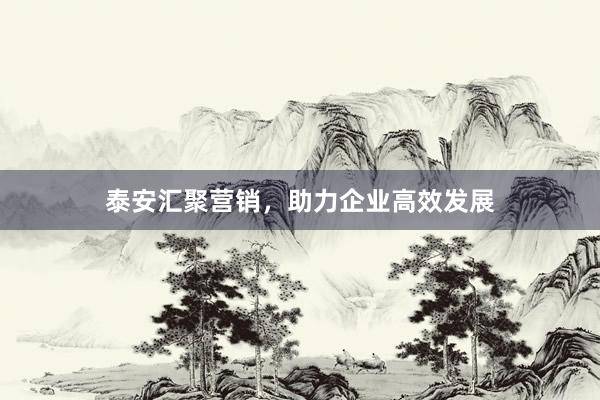 泰安汇聚营销，助力企业高效发展